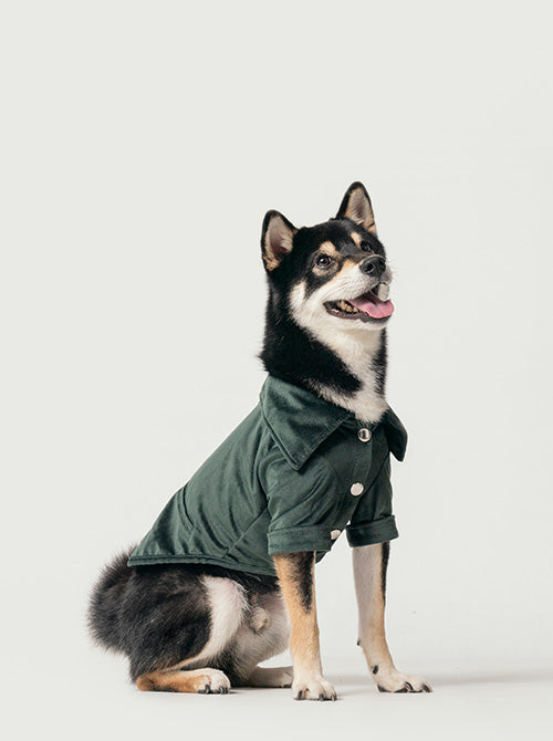 Green Velvet Pet Shirt Handmade