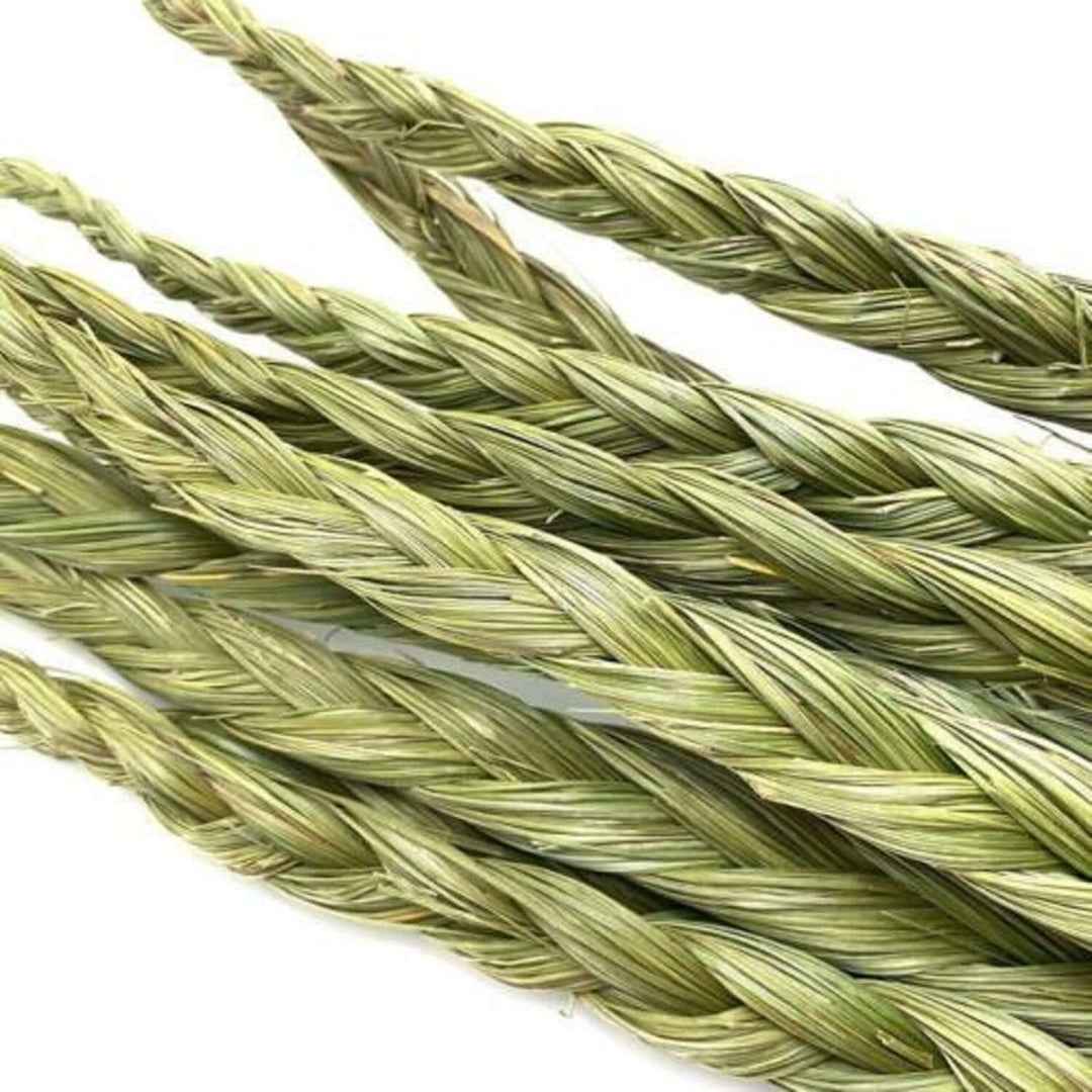 Close-up of sweetgrass braid, used as smudging herbs for attracting good spirits and positive energy with a sweet aroma.