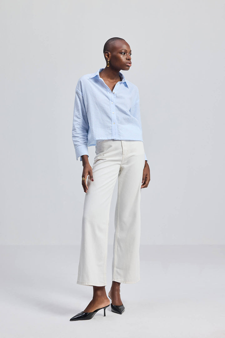 Crop It Like Its Hot Shirt | Stripes