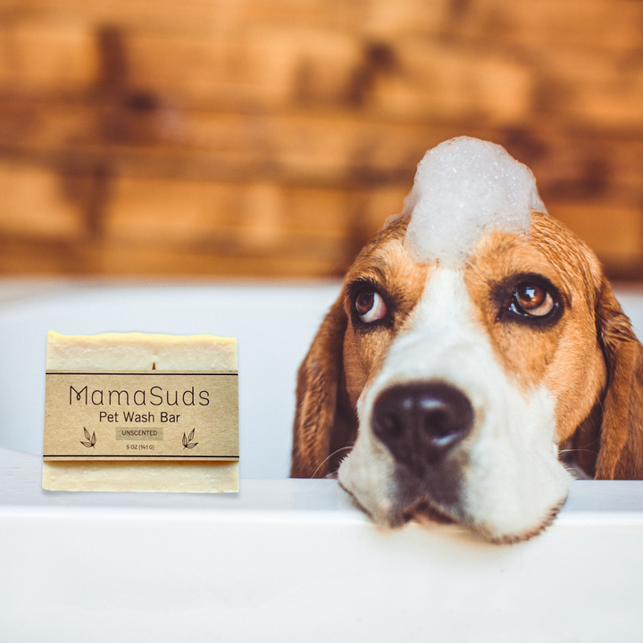 Pet Wash Bar - Unscented