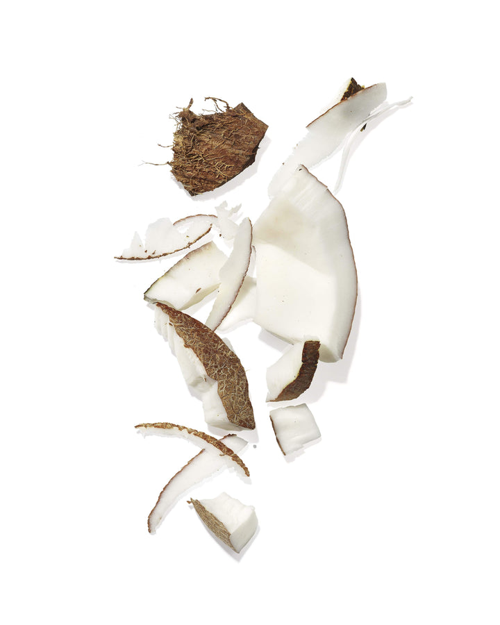 Coconut pieces used as a nourishing ingredient in Mekabu Hydrating Shampoo for hydration and shine.