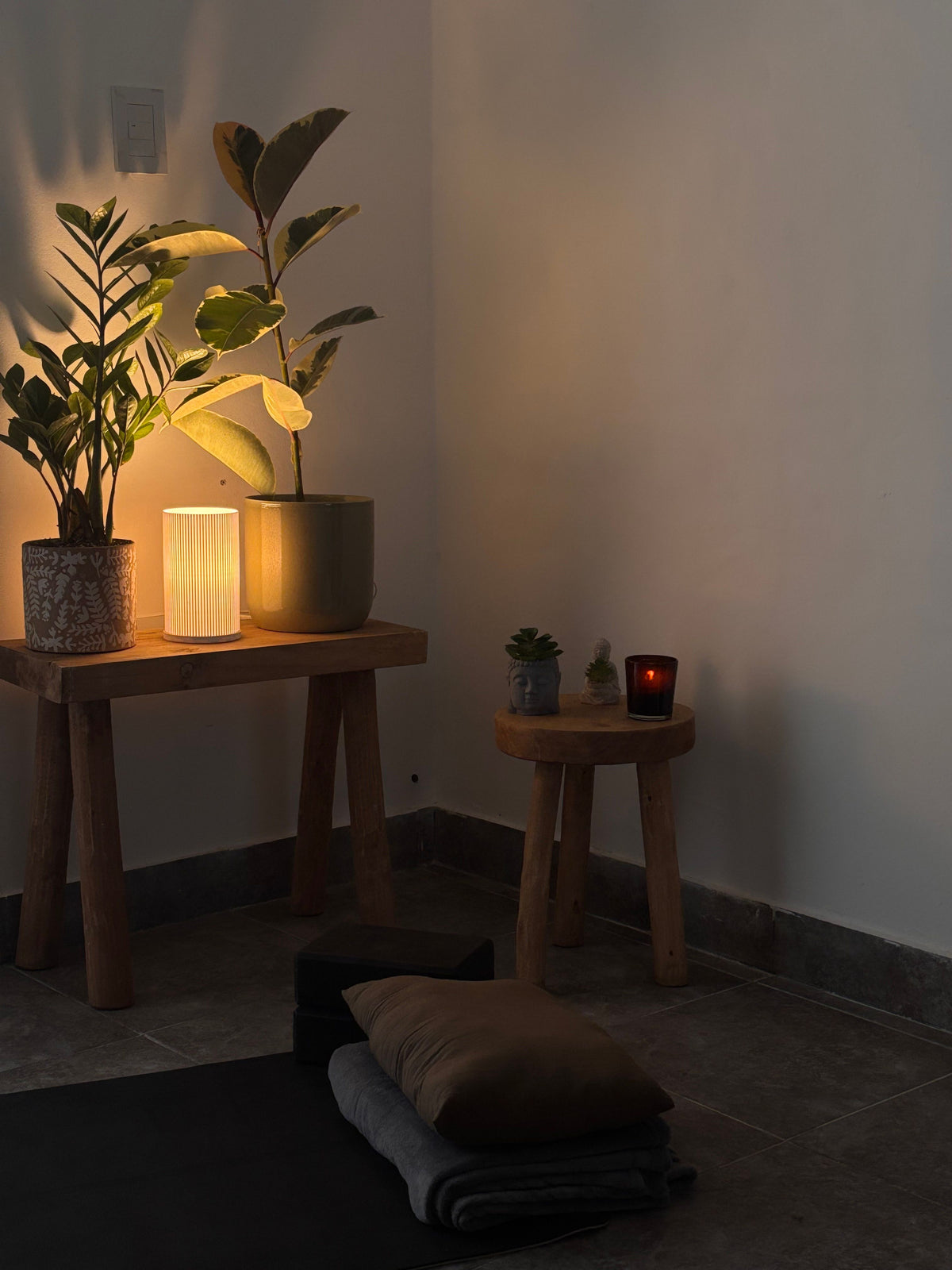 Peaceful meditation corner with plants and soft light