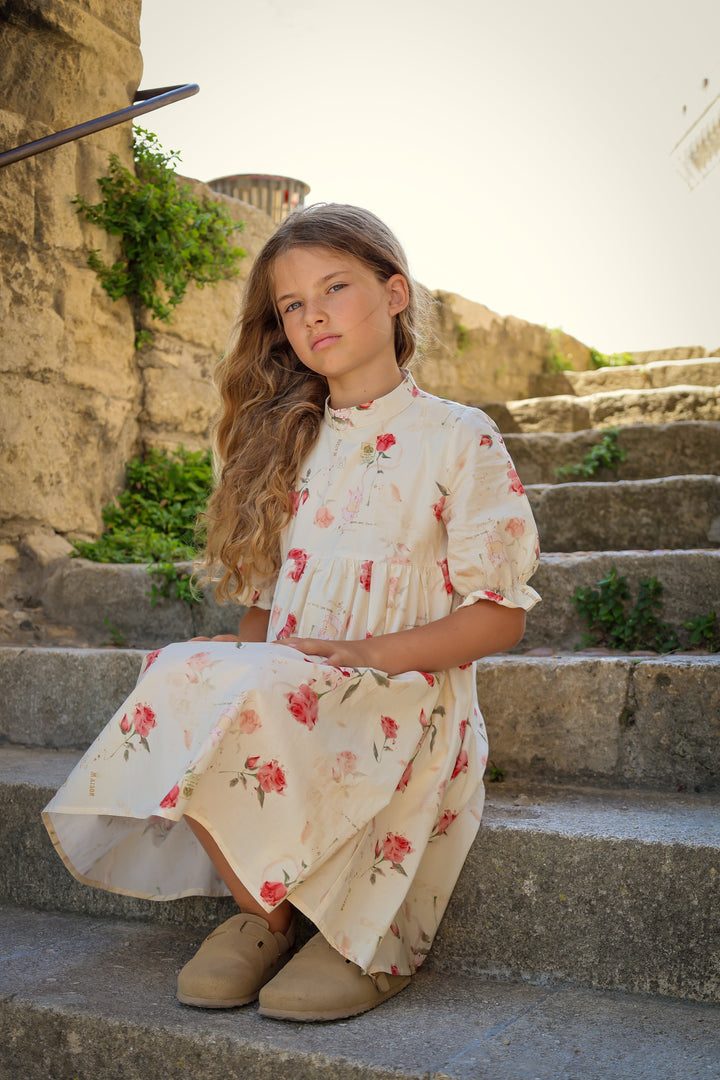 Madeleine Dress | Rose Garden Toile