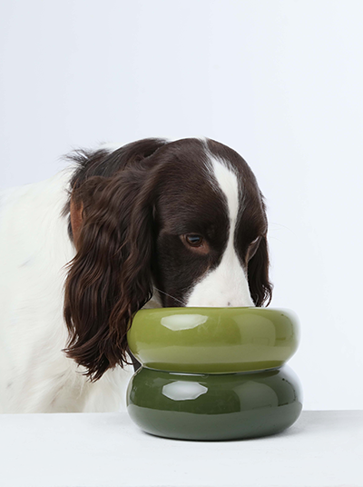 Soufflé Pet Bowl