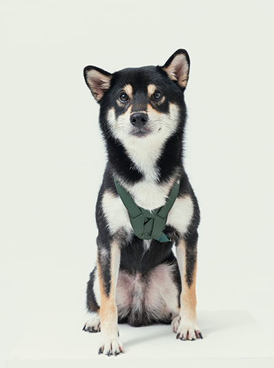 Hart Pressure Release Harness - Green