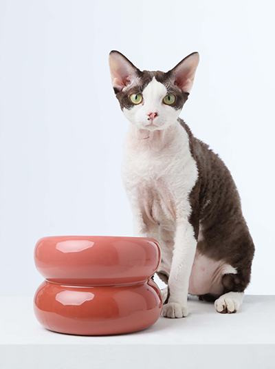 Soufflé Pet Bowl