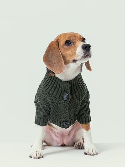Bert Cardigan Sweater - Dark Green
