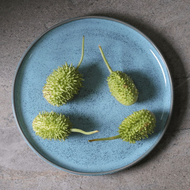 Buffet Dinner Plate | Set of 4