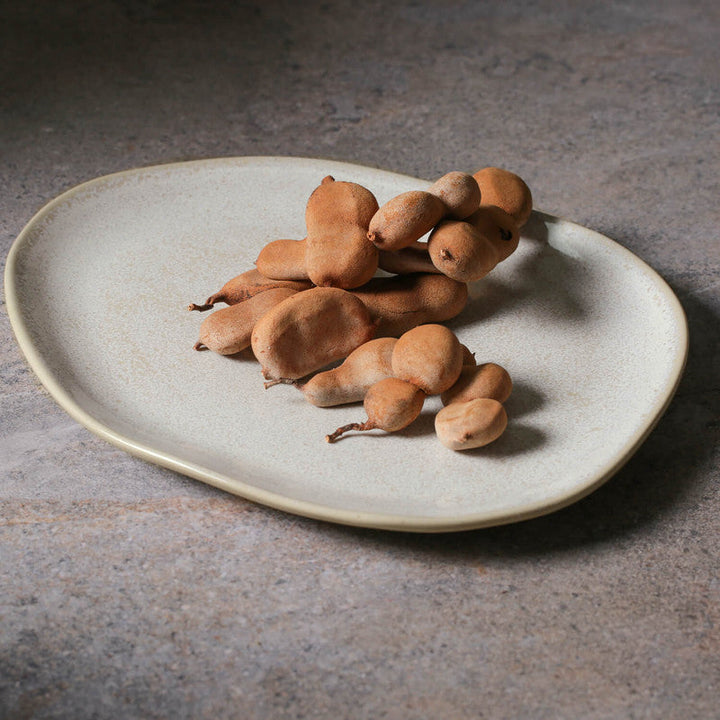 Oval Dinner Plate | Set of 4