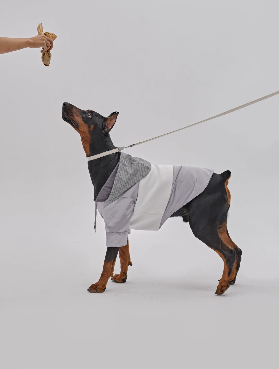 Andersen Calfskin Pet Collar