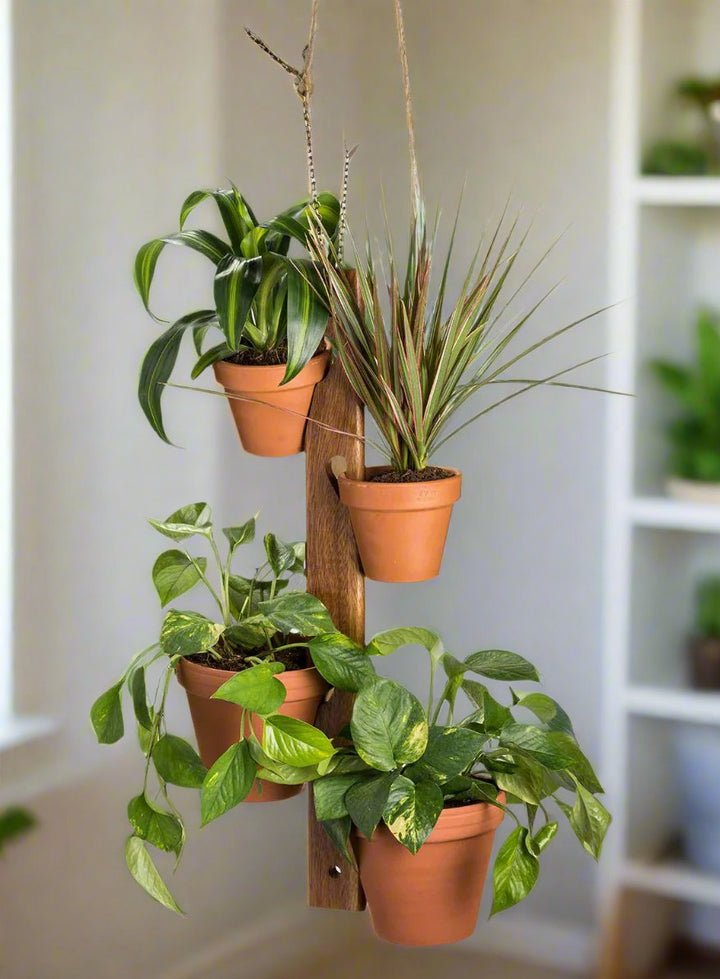 Handcrafted acacia wood hanging plant holder displaying six terra cotta pots with adjustable chain and stands
