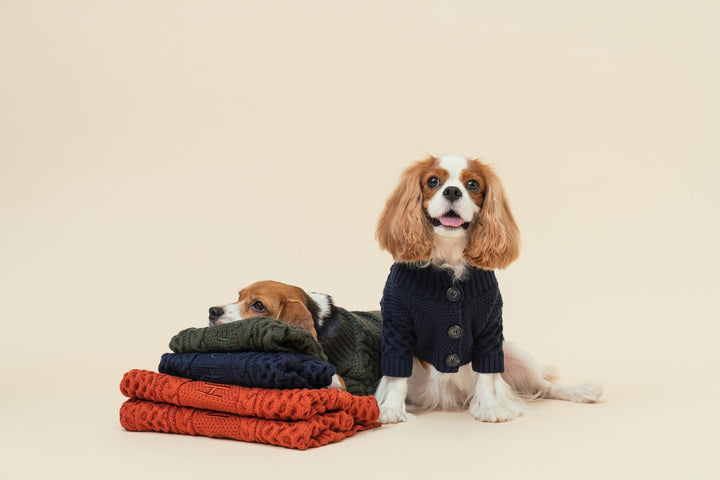Bert Cardigan Sweater - Dark Green