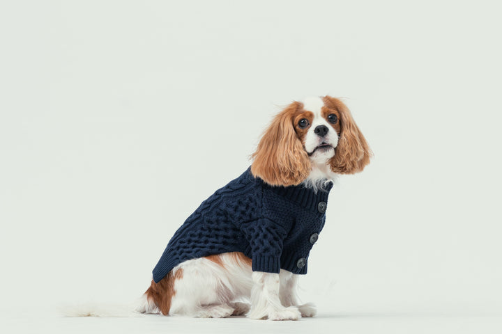 Bert Cardigan Sweater - Dark Blue