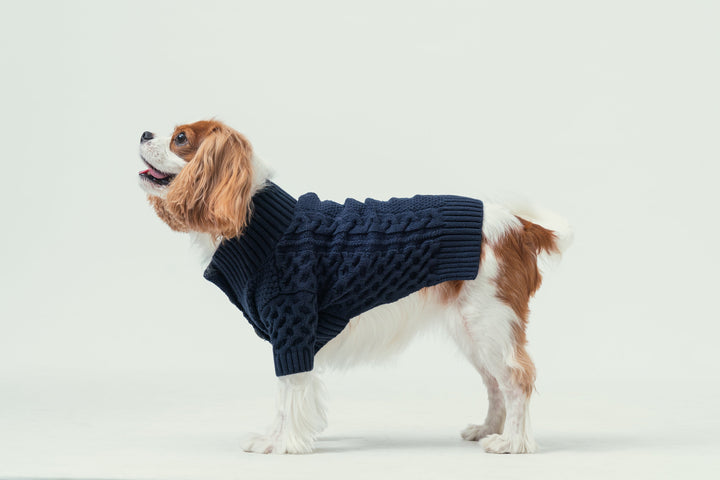 Bert Cardigan Sweater - Dark Blue