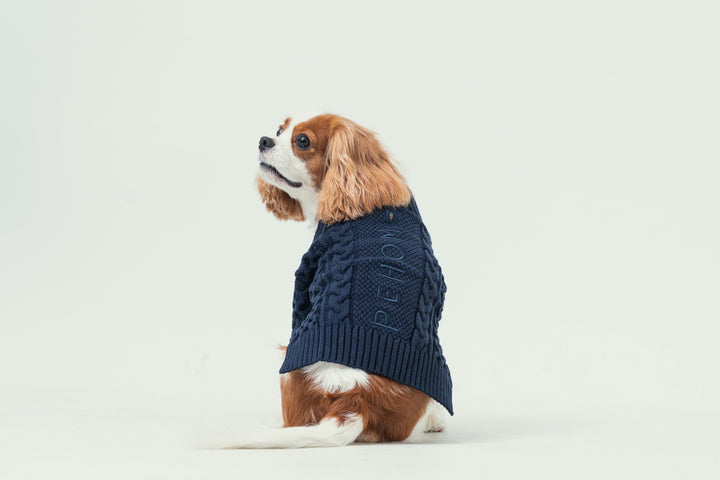 Bert Cardigan Sweater - Dark Blue