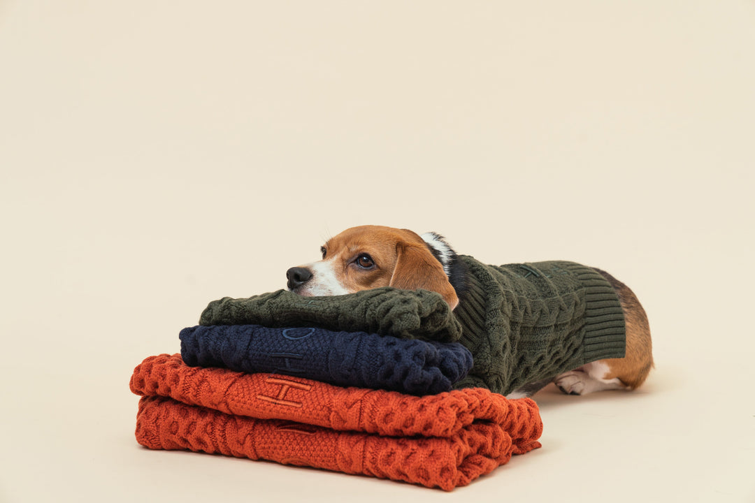 Bert Cardigan Sweater - Dark Blue