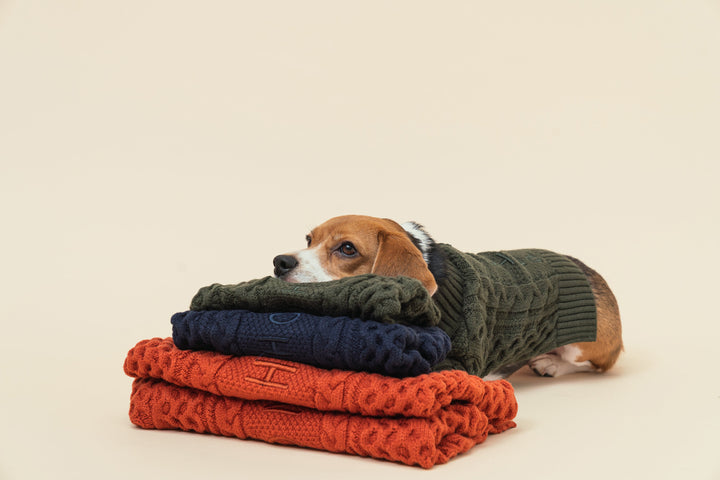 Bert Cardigan Sweater - Dark Blue