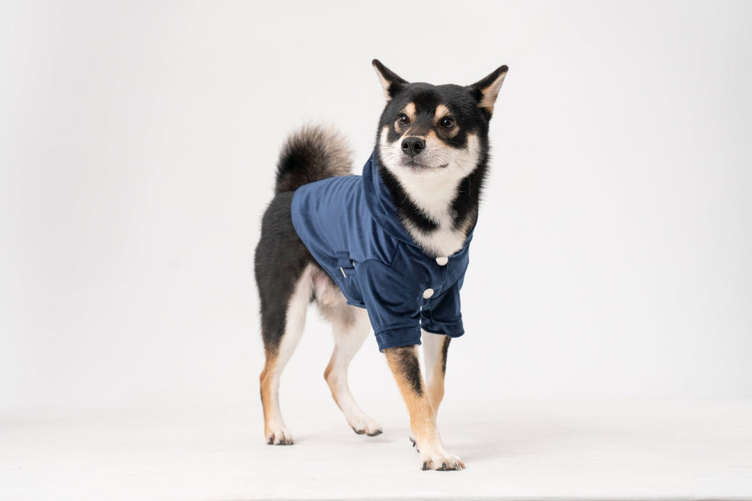 Huston Hoodie - Midnight Blue