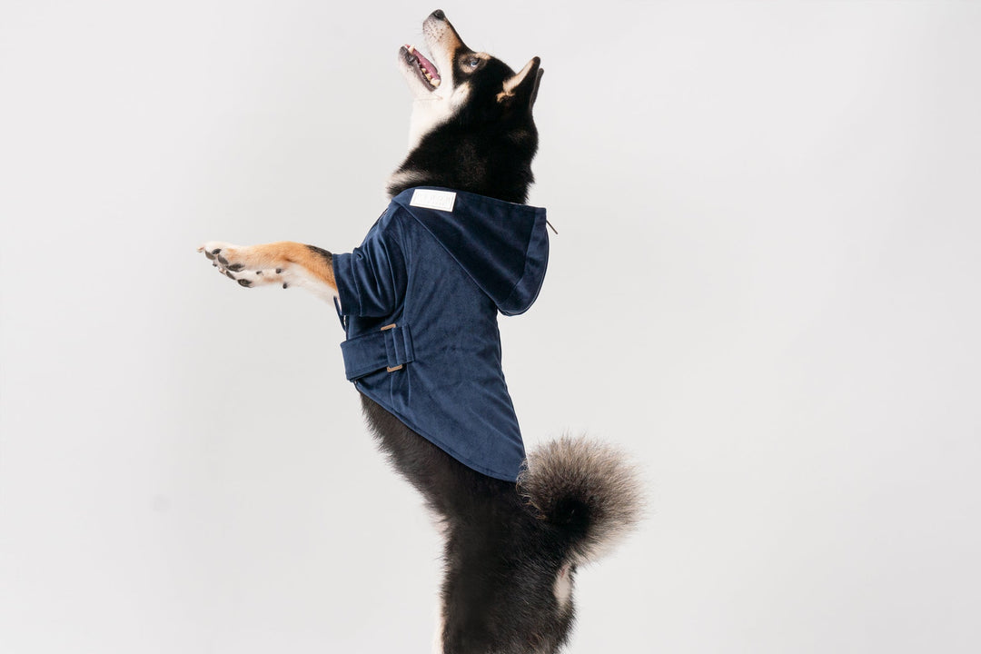 Huston Hoodie - Midnight Blue