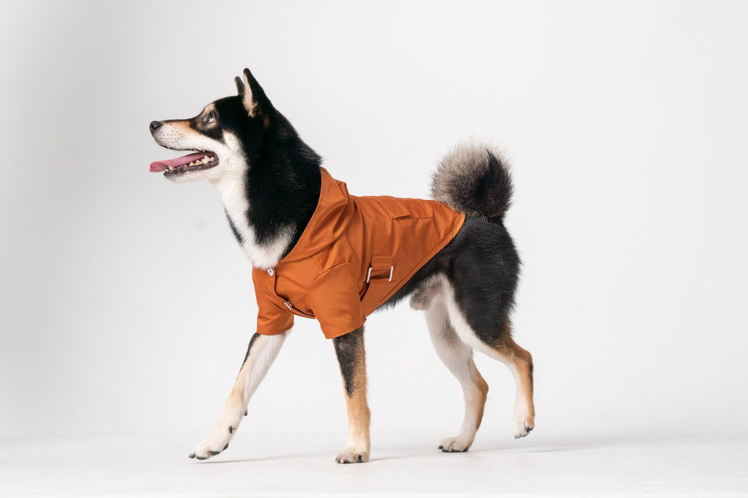 Bowery Raincoat - Orange