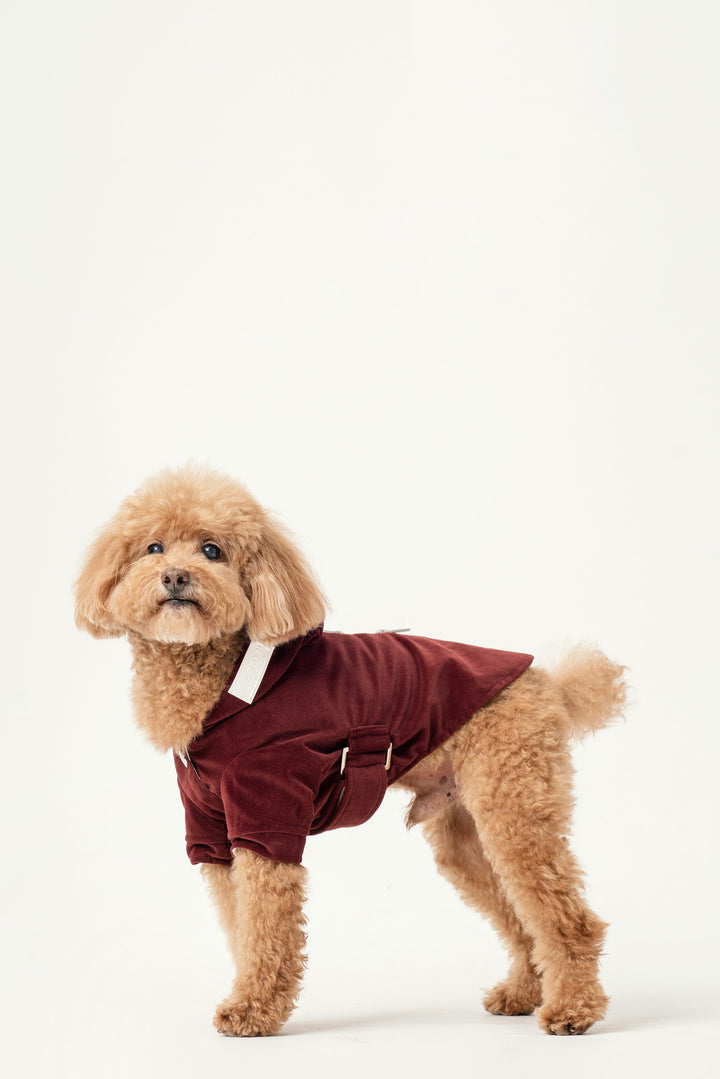 Huston Hoodie - Dark Burgundy