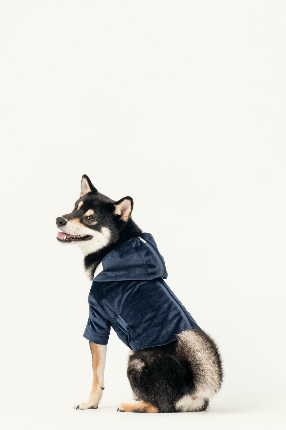 Huston Hoodie - Midnight Blue