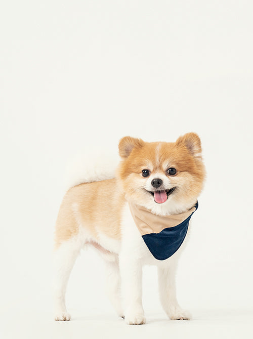 2 in 1 Bandana - Beige/Blue