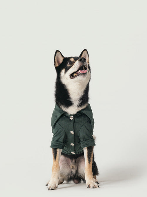 Stainway Shirt - Green