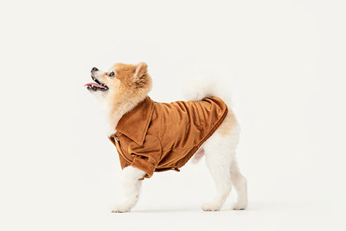 Stainway Shirt - Orange