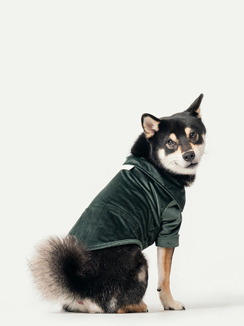 Stainway Shirt - Green