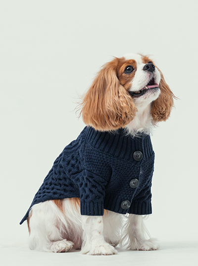 Bert Cardigan Sweater - Dark Blue
