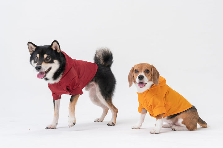 Tribeca Adjustable Velcro Raincoat - Olive