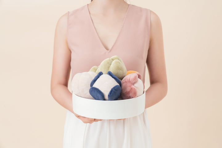 Paradise Pet Toy