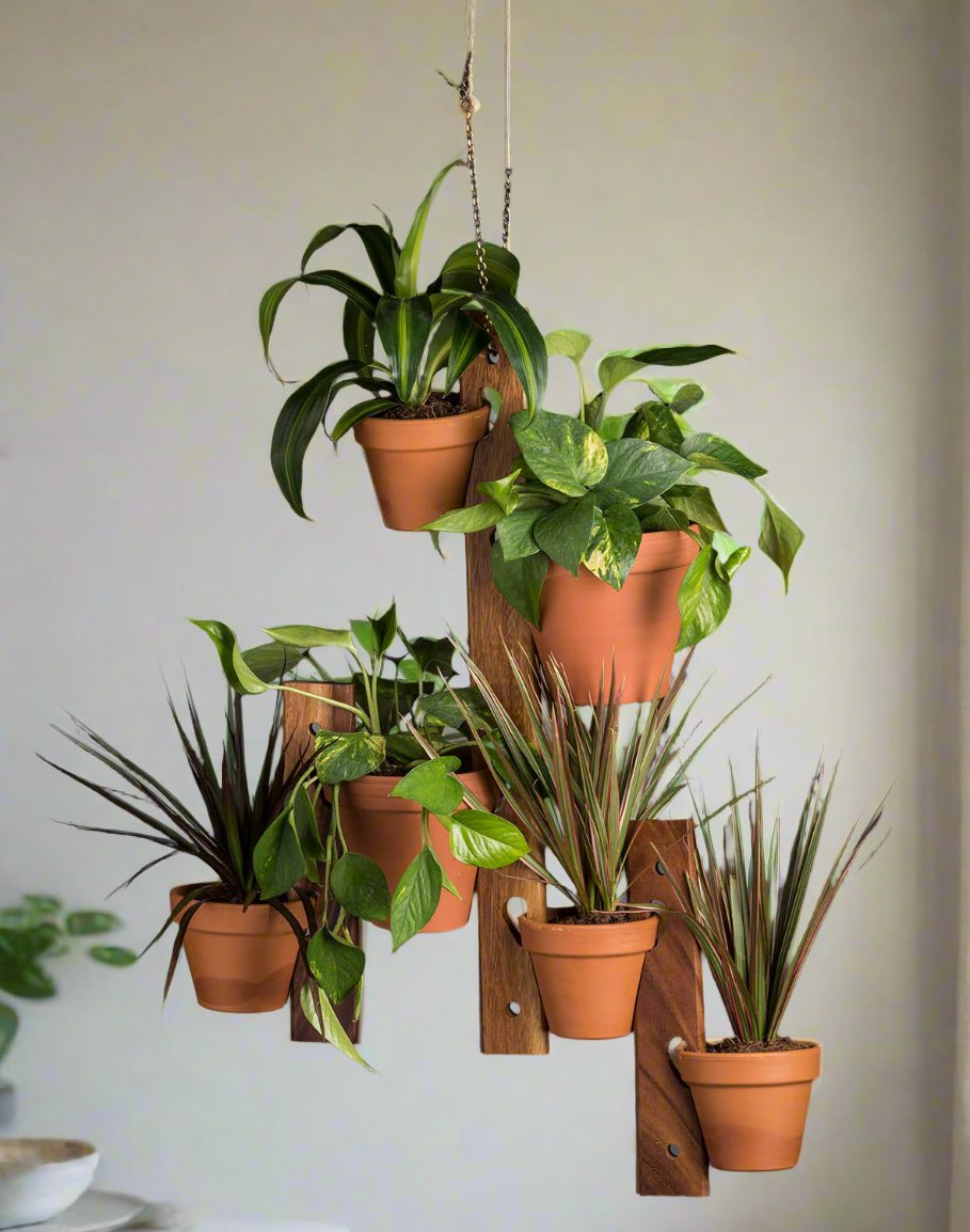 - image 7