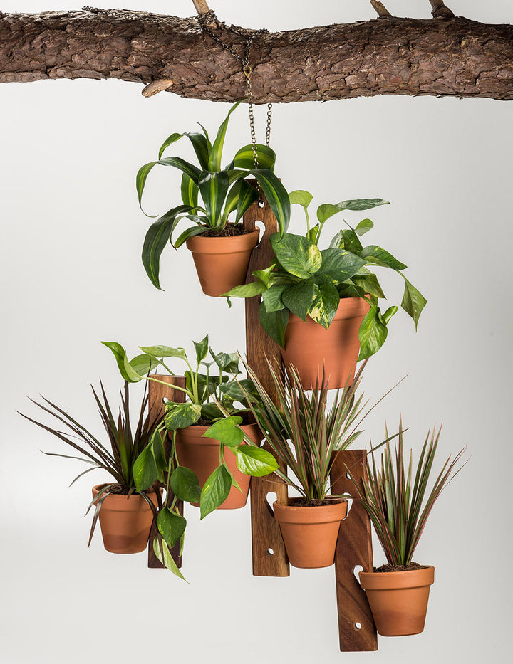 - image 4
