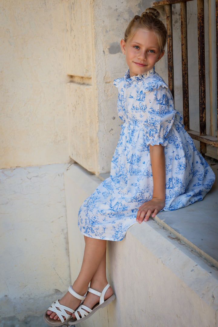 Aoki Dress-Blue Toile | Three-Quarter Length Sleeve