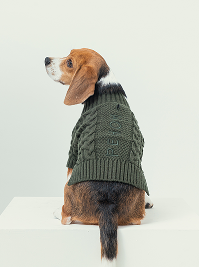 Bert Cardigan Sweater - Dark Green
