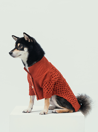 Bert Cardigan Sweater - Orange
