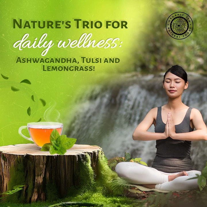 Herbal Wellness Pack