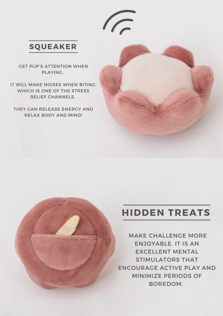 Paradise Pet Toy