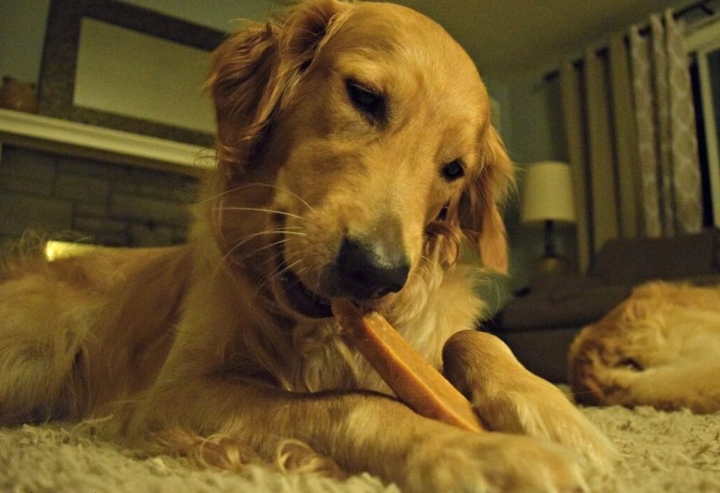 EcoKind Giant Gold Yak Chews