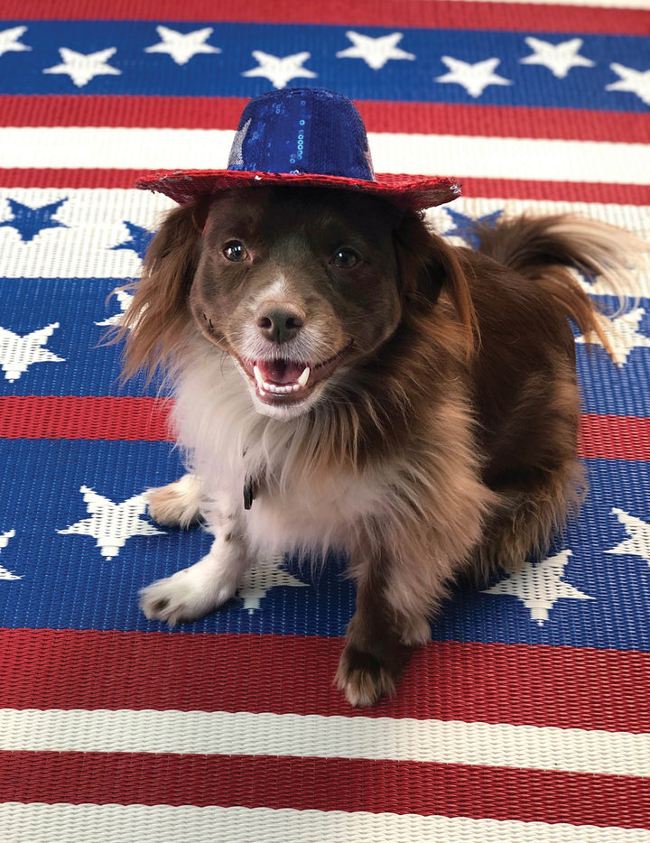 Cheers Red White & Blue