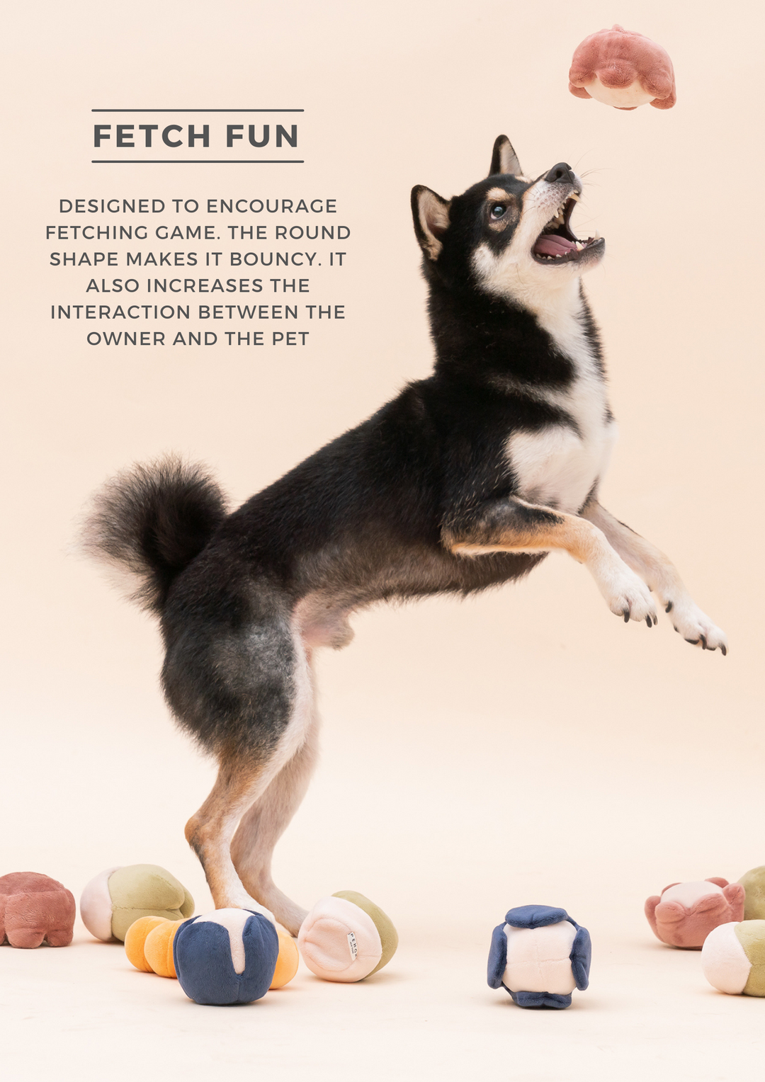 Paradise Pet Toy