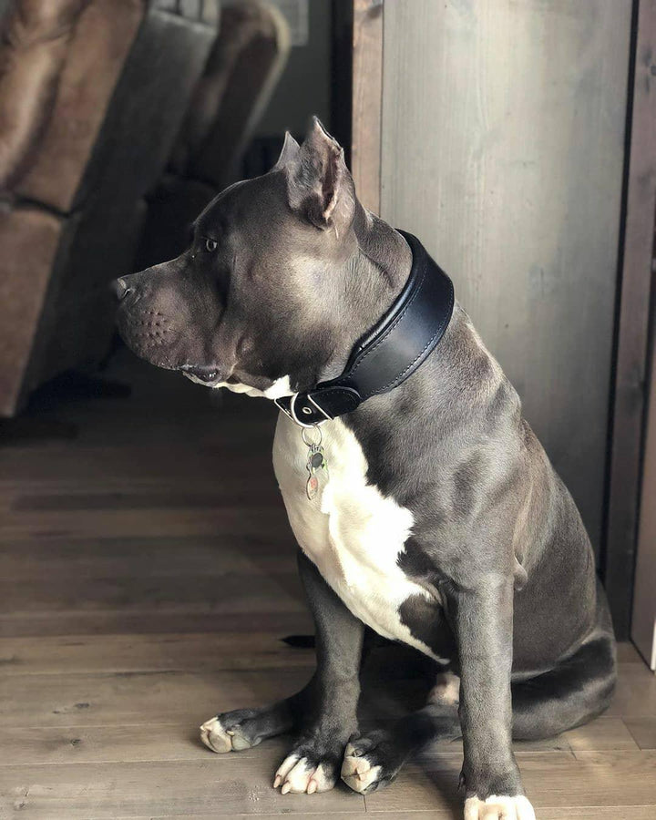Plain "Style" Collar - Black