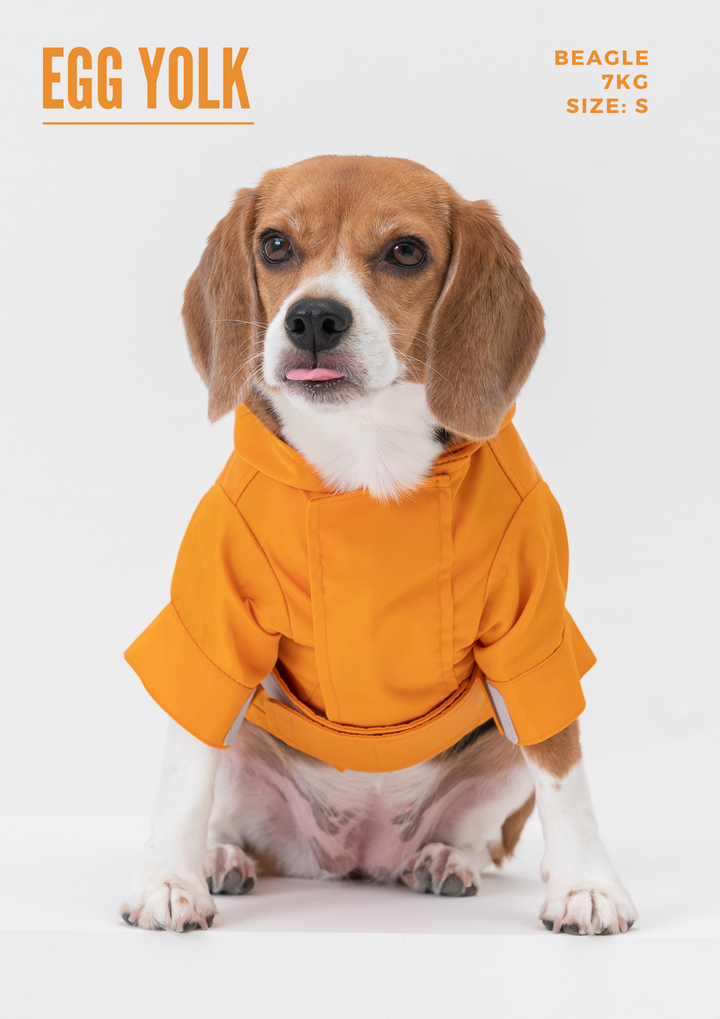 Tribeca Adjustable Velcro Raincoat -  Burgundy