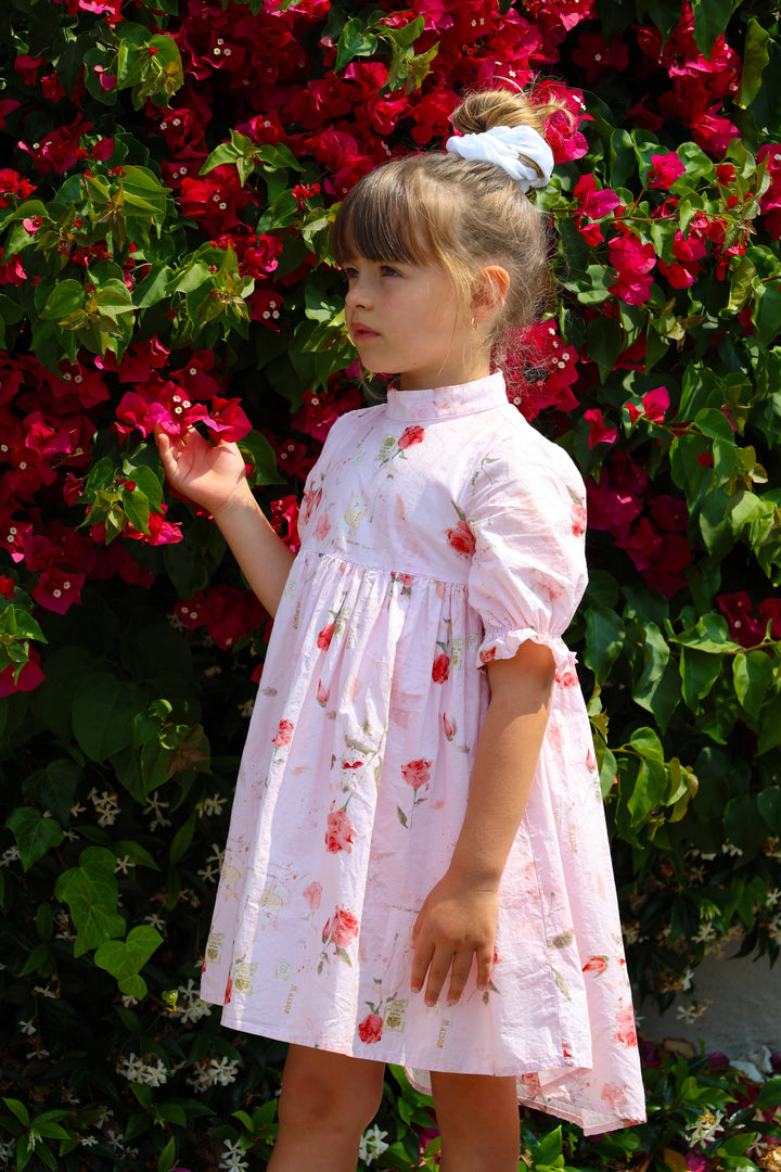 The Madeleine Dress | Blush Rose