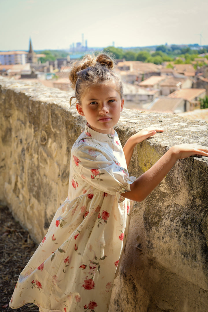 Madeleine Dress | Rose Garden Toile