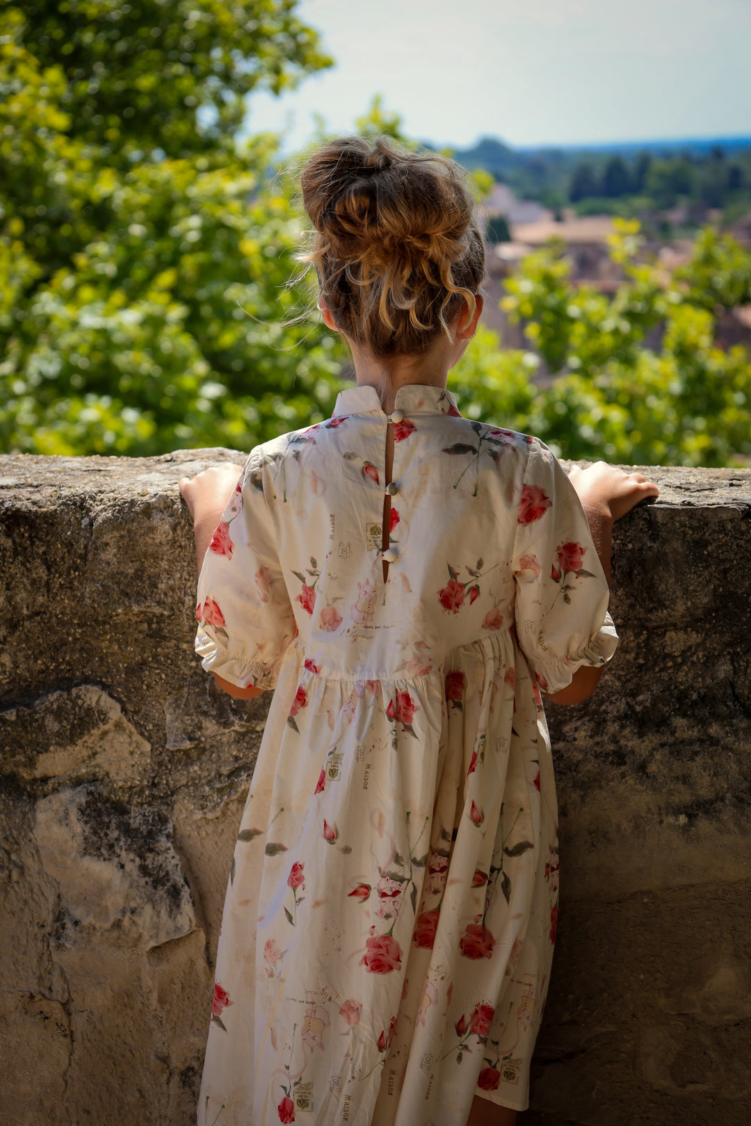 Madeleine Dress | Rose Garden Toile