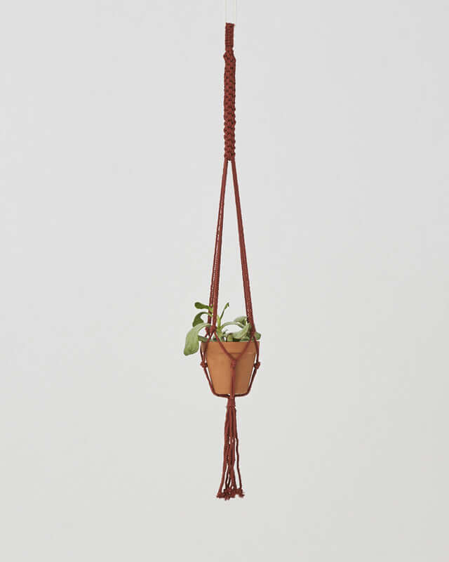 Bluefields Macrame Plant Holder - Tile Red