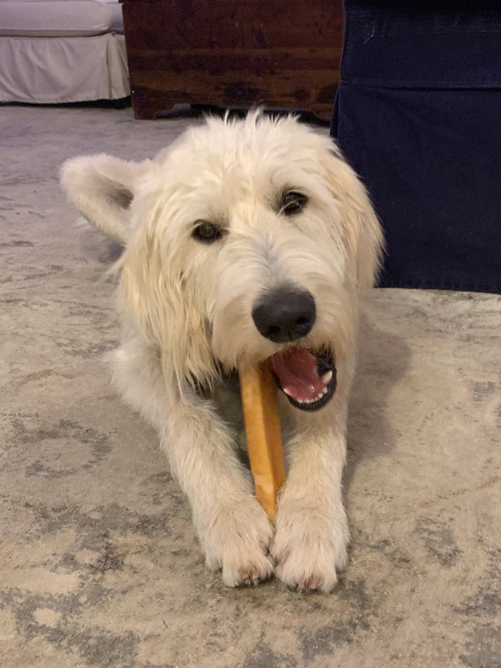 EcoKind Giant Gold Yak Chews